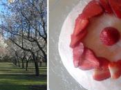 Layer cake fresas