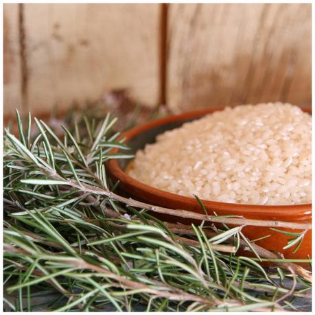 receta: risotto al rosmarino - recipe : rosemary risotto