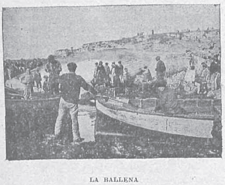 Ballena1895_NuevoMundo2