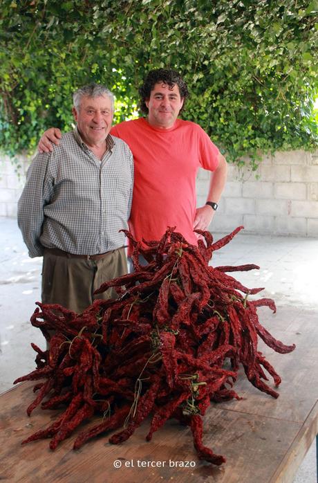 Fruta de La Sarga 14