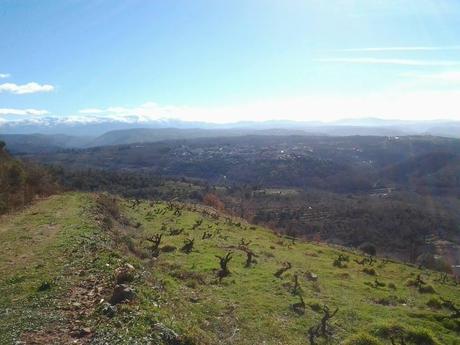 Bodegas Cambrico 4