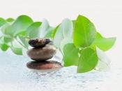 Terapia natural para tratar hipertrofia prostática