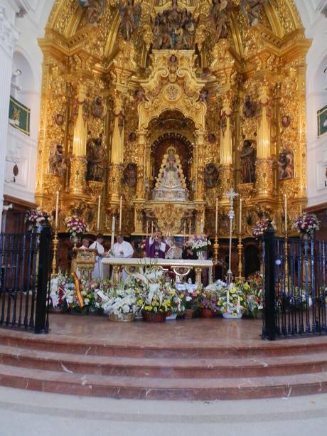 Galería fotográfica de la convivencia en el Rocío