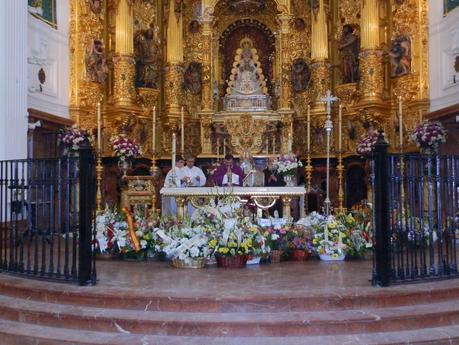 Galería fotográfica de la convivencia en el Rocío