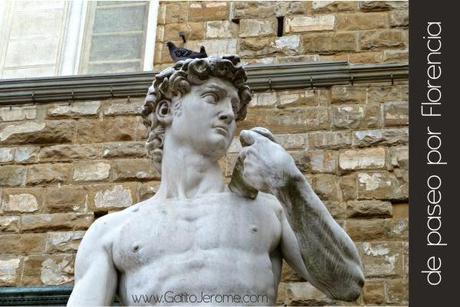 David de Miguel Ángel (réplica en la Piazza della Signoria) David con una paloma
