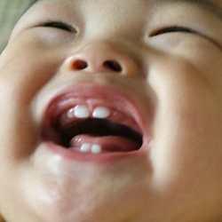 denticion-infantil dentición infantil