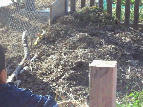 EN EL CENTRO DE EDUCACIÓN AMBIENTAL DEL PARQUE LIANA