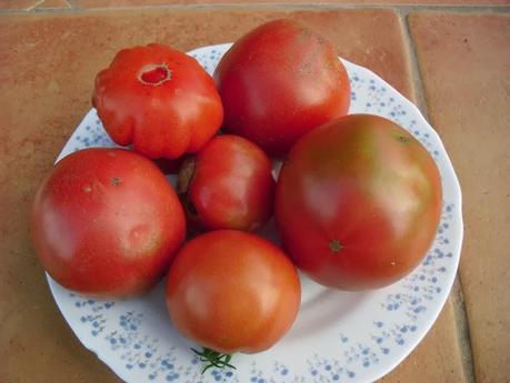 DESARROLLO DE LAS PLANTAS DE MI INVERNADERO (cap. 3º)