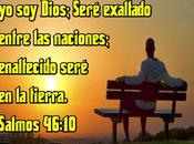 Elemento esencial para meditación