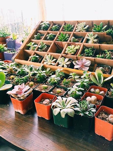 Miercoles....en verde.