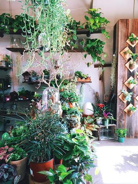 Miercoles....en verde.