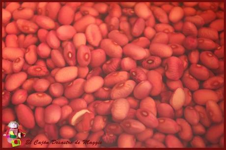 MINESTRONE CON IL PESTO - RETO SALADO CRI: LIGURIA