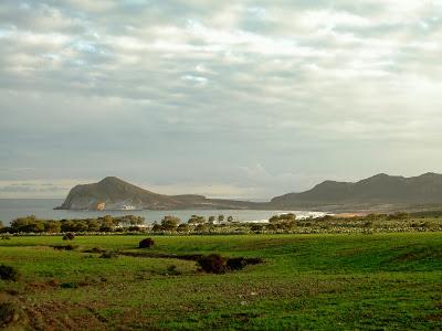 CALDO CON PIMIENTOS DE ALMERÍA