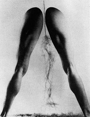 Relaciones que enferman: el caso Dora Maar