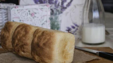 Pan de Molde