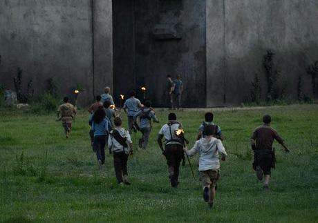 NUEVO STILL: The Maze Runner