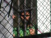 aboga Leopoldo López