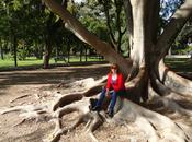 Conclusiones árbol.