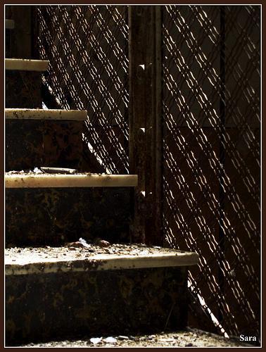 Los Crímenes del Filósofo Rey. 2ª entrega