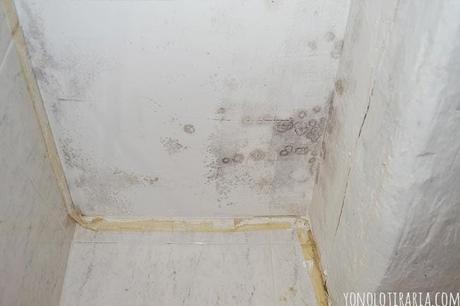 Vamos a tunear el baño. Capítulo 2. EMPEZAMOS POR EL TECHO