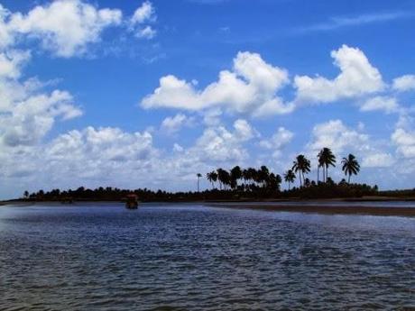 Caballitos de mar en Pontal de Maracaípe. Recife