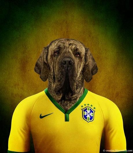 soccernationdogs02
