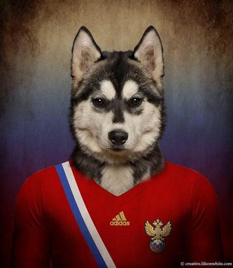 soccernationdogs06