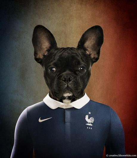 soccernationdogs10