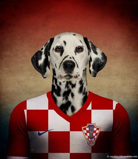 soccernationdogs16