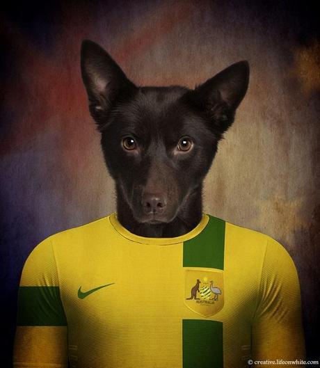 soccernationdogs03