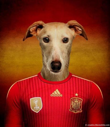 soccernationdogs15