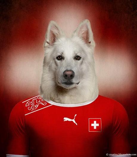 soccernationdogs04