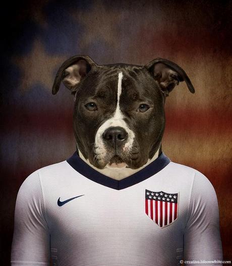 soccernationdogs13