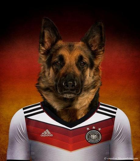 soccernationdogs14