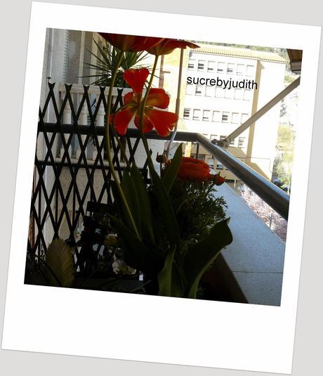 HIGHLIGHTS OF THE DAY ANY