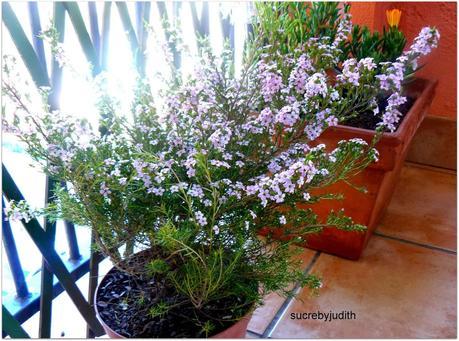 HIGHLIGHTS OF THE DAY ANY