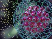 Logran detener deterioro muscular vejez