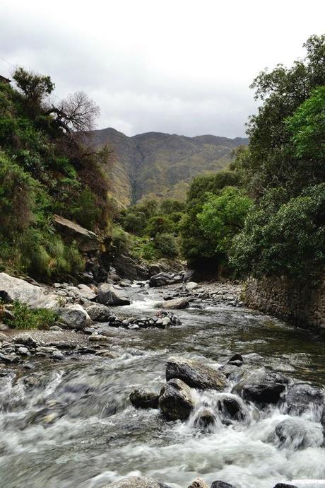 Reseña: .... cremas? no, Merlo