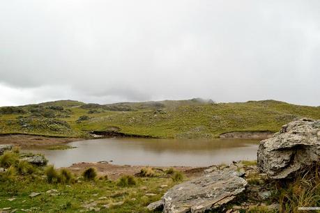 Reseña: .... cremas? no, Merlo