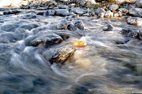 Reseña: .... cremas? no, Merlo