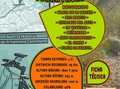 Ruta "Los pinos Peñanegra"