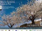 Marcha Senderista Cerezo Flor