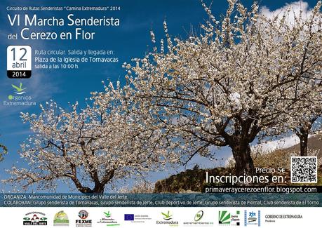 VI Marcha Senderista del Cerezo en Flor