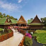 Parque Nacional del Teide El Loro Parque, ¡¡ Fantástico !!