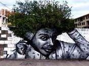 Naturaleza Arte Callejero