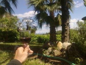 sol vino y jardín