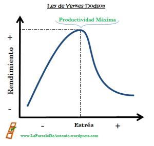 ¿Eres capaz de reconocer tu estrés?. Ley de Yerkes-Dodson