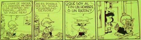 Quino-105_5247