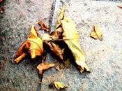 ‘Recapitulando 2013′, libro doce