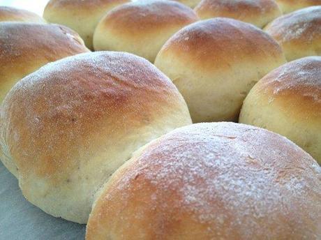 recetas panecillos fáciles recetas delikatissen recetas de panecillos repostería bollería receta fácil de pan medias noches panecillos leche caseros rápidos Panecillos de leche esponjosos como hacer pan en casa 